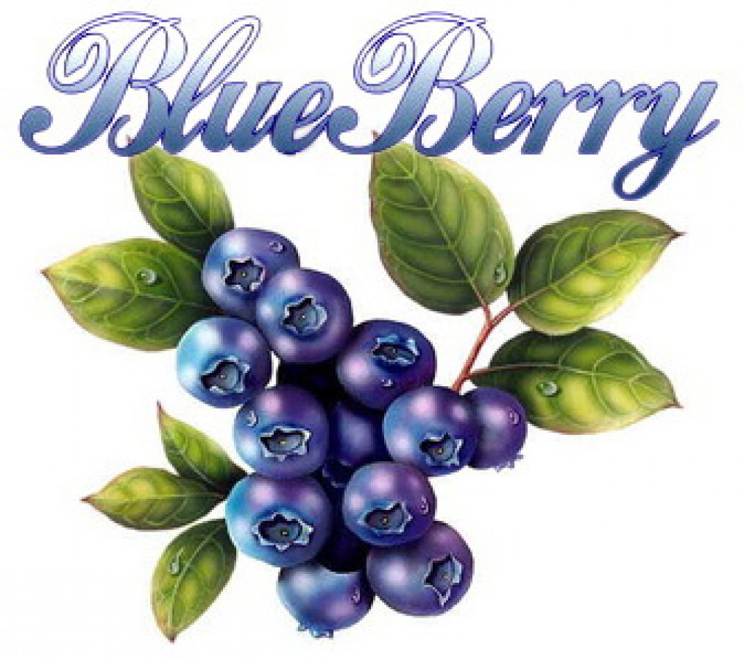 BLUEBERRY IMPEX CO., LTD.