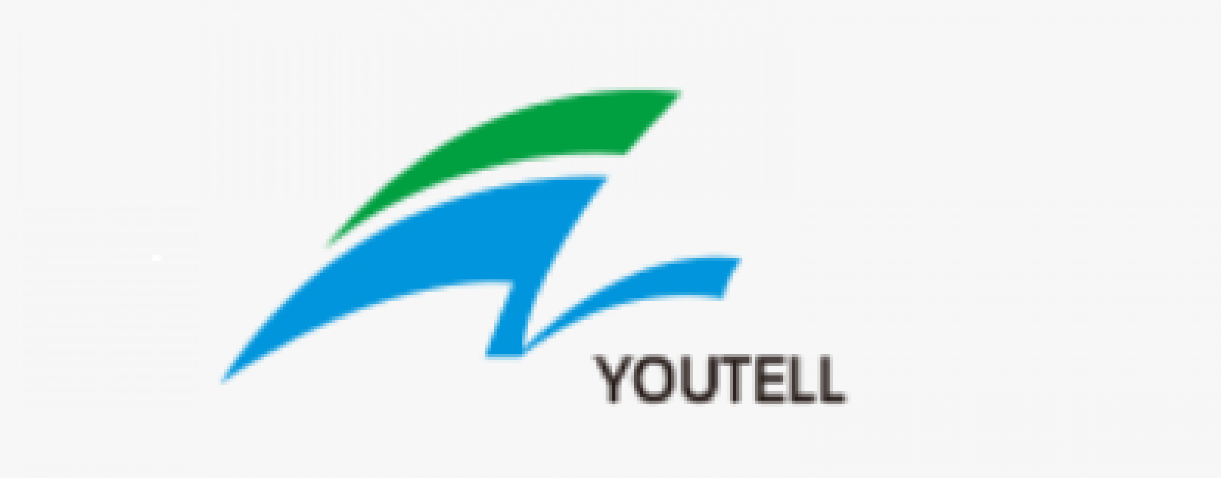 SHANDONG YOUTELL BIOCHEMICAL CO., LTD