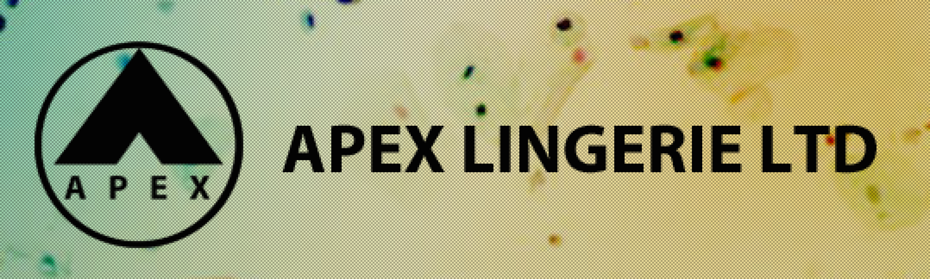 APEX LINGERIE LIMITED