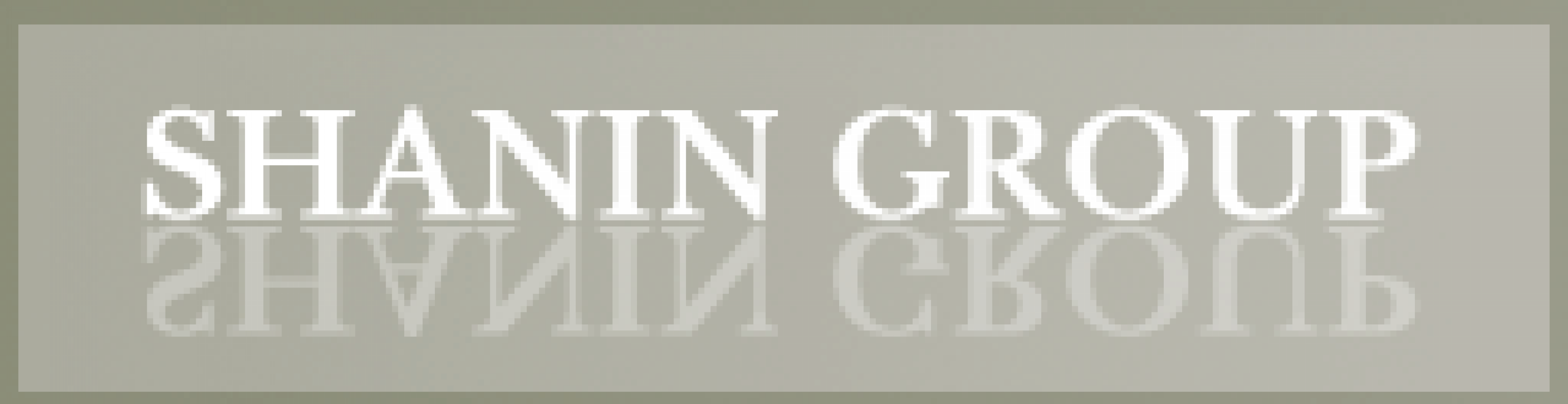 THE SHANIN CORPORATION (SHANIN GROUP)