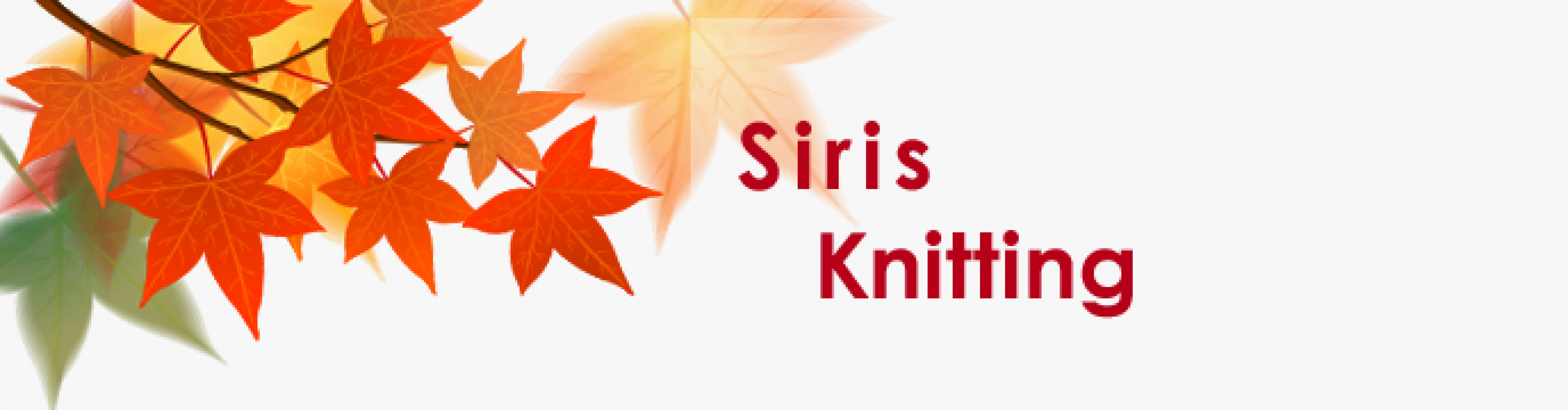 Siris Holding Group Co., Ltd.