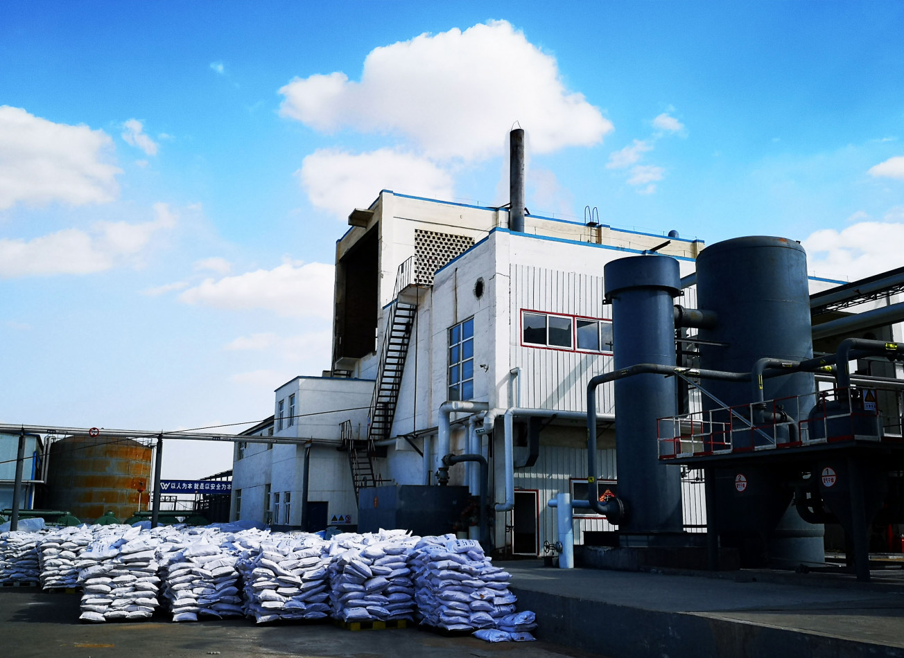 DALIAN F.T.Z. RICHON INT'L TRADE CO., LTD