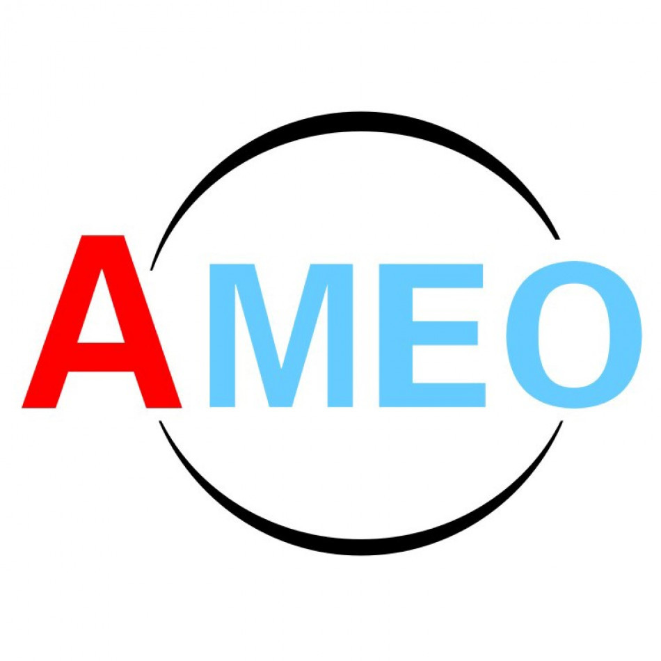 HANGZHOU AMEO IMPORT & EXPORT CO.,LTD