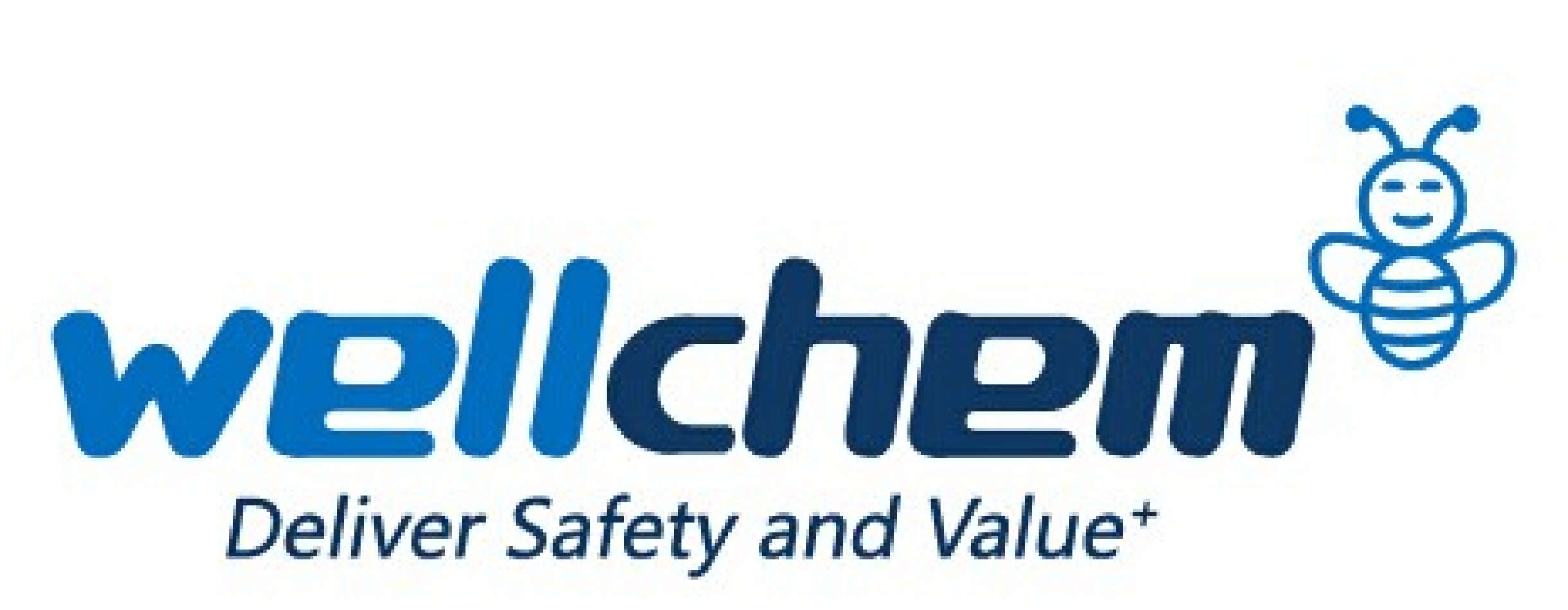Wellchem Flame Retardant Co., Ltd