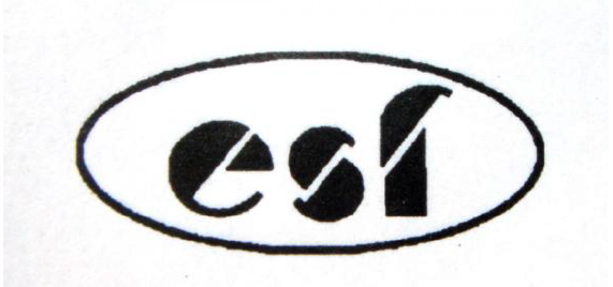 CHAHGZHOU YINGSHIFENG TEXTILE AND DYEING CO., LTD