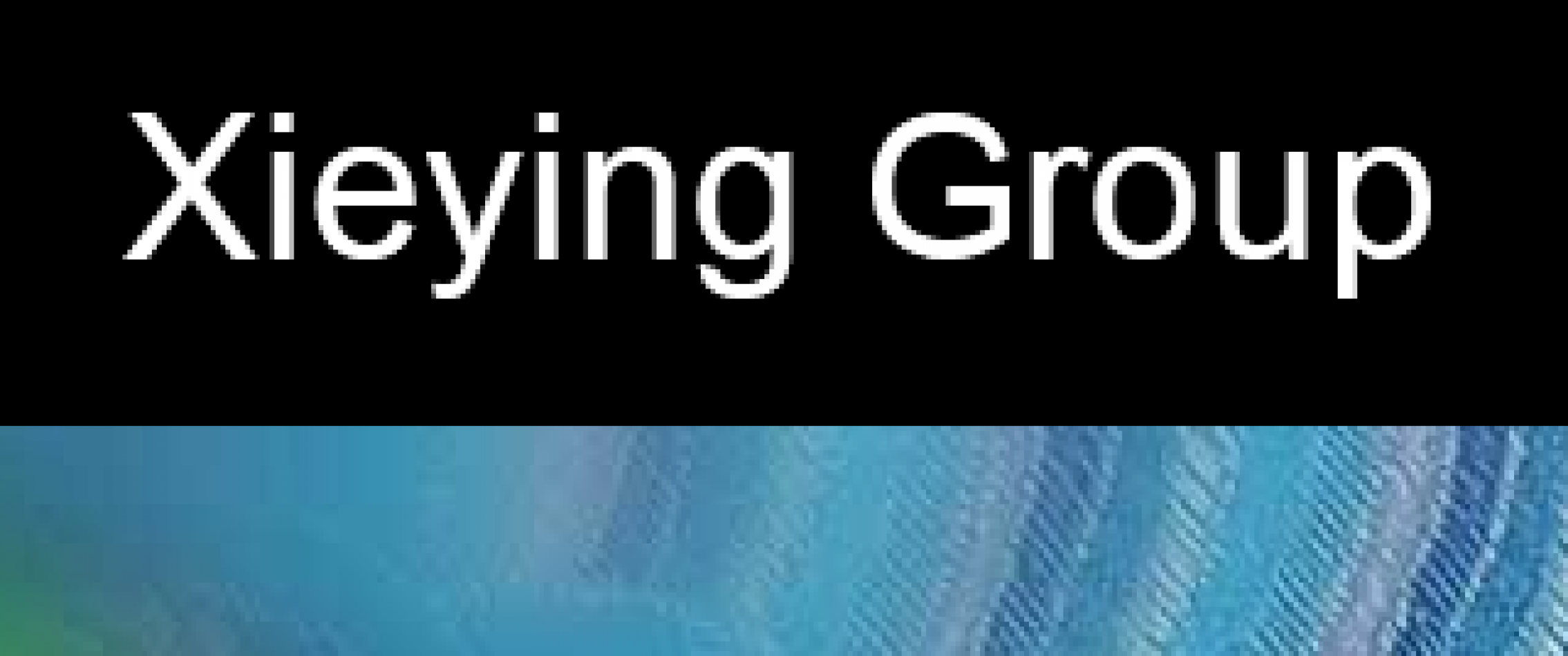 Dongguan Xieying Textile Co., Ltd