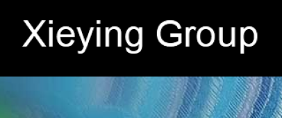 Dongguan Xieying Textile Co., Ltd
