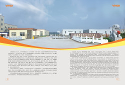 LINYI VIHO CHEM CO.,LTD
